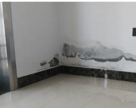 花都周邊專業防水補漏服務 全面解決廁所漏水、窗臺滲水與衛生間維修難題